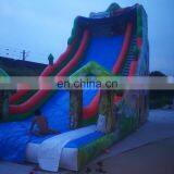 Newest Design Top Quality Inflatable Water Slide For Adult thumbnail-5