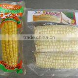 Frozen Yellow Sweet Corn From Vietnam
