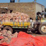 Himalayan Salt Lick - Animal Special thumbnail-6