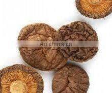 Natural Dry Shiitake Mushrooms Bulk Dried Mushrooms/Wholesale Cheap Healthy Dried Shiitake Mushroom From Vietnam thumbnail-5