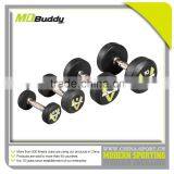 Commercial stainless steel dumbbell with cheap price