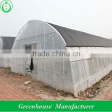 widely used tunnel greenhouse
