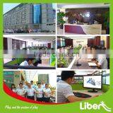 Professional Trampoline Manufacturer Kids Indoor Trampoline Bed, Indoor Trampolin, Trampolin Bed for Sale thumbnail-6