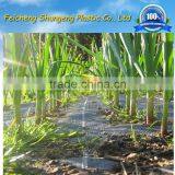 Plant and Mulch, Fruit Covering Fabric, Anti-UV Grass Frost Cover