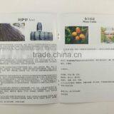 Printed Paper Using Instruction Paper thumbnail-6