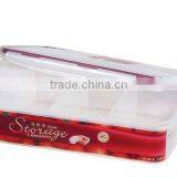 Keeping Fresh Container