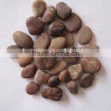 River Pebble thumbnail-1