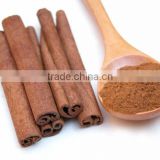 Best Exporter of Natural Cinnamon Bark Oil
