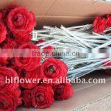 Silk Single Ranunculus Small Flower