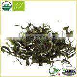 Lightly Oxidized White Hair Silver Needle White Tea Best White Tea Brands thumbnail-6