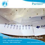 8.2cm Height Paper Forage Hat (single Blue Strip) thumbnail-3