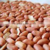 Blanched Peanut Without Skin - Count 38/40 40/50 50/60 thumbnail-4