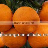 Madarin Orange Sacs(nature Brix) thumbnail-1