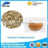 Top Quality cheap tribulus terrestris p.e. 40% OEM