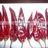 High Pungency Whole American Red Chili thumbnail-2