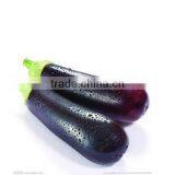 WA-1000 2016 Hot Sell Vegetable Washing Machine With High Efficiency thumbnail-3