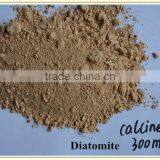 High Absorbent Diatomaceous Earth(Calcined and Raw) Diatomite For Industrial Filter Aid Uses thumbnail-3