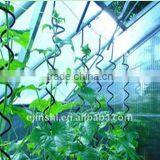 Tomato Trellis Supports thumbnail-1