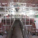 Automatic Feeding System for Pig Farm thumbnail-2