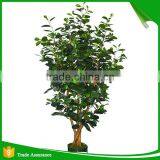 Top Quality Artificial Money Tree for Decoration thumbnail-2