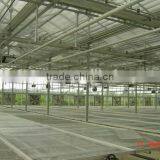 Greenhouses for Agriculture Production thumbnail-3