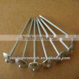 Umbrella Head Roofing Nails thumbnail-1