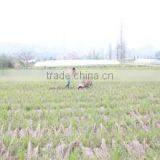 Zhejiang E-Shine Machinery Manufacturing Co., Ltd. company overview - view 4 thumbnail