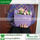 Hanging Wholesale Living Garden Supplier thumbnail-1