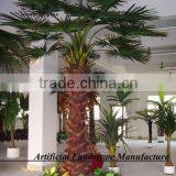 Factory Direct High Quality Palm Tree With Cheap Price Palm Tree for Shopping Mall Decoration thumbnail-1