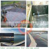 Hdpe Geomembrane for Shrimp Pond thumbnail-1