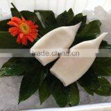 Frozen Squid Tube thumbnail-1