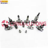 Diesel Plunger Pw2-China Ep9 Diesel Pump Plunger thumbnail-2