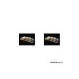 Sell S/F Glass Single Vision Lens thumbnail-1