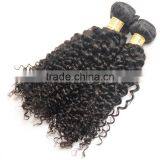 Kinky Curly Virgin Indian Hair Wholesale Unprocessed 8A Indian Human Hair Weaves Extension thumbnail-1