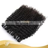 Hotbeauty top grade Kinky curly brazilian virgin human hair weave, hair extension, hair extension bundles