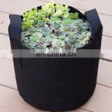 OEM Plant Garden Felt Fabric Grow Bags thumbnail-5
