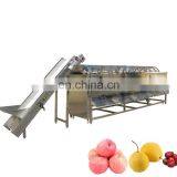 Widely Use Potato Sorting Machine Oinon Grading Machine thumbnail-6