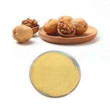 High Quality Pure Walnut Extract Peptide Protein Powder Walnut Peptide thumbnail-2