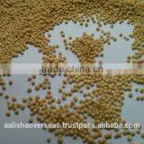 Amaranthus Seeds thumbnail-5