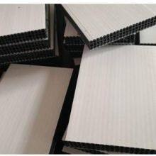 PP Hollow Construction Template Extrusion Line thumbnail-2