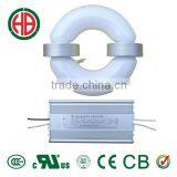 HB 40w 50w 60w 80w 100w R Induction Lamp 12v 24v Solar Lamp