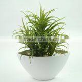 High Quality Artificial Plant Green Plant Succulent Plant thumbnail-1
