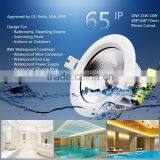 Dongguan COB or SMD LED Down Lights 95mm Cutout 13W IP65 Waterproof LED Downlight