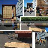 Aofeite Infrared Magnetic Lower Pain Back Support Lumbar Brace Belt AFT-Y011 thumbnail-2