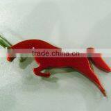 Metal Beer Bottle Opener Keychain(XDM--DC564)