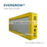 EverGrow 200W Latest Hydro Led Grow Panel EG-100*3W-GP3-SXB