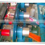 Automatic Yangmei Ball Making Machine