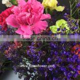 Fresh Cut Flower Buyer Purple Carnation Flower Arrangement From Kunming Superbly Carnation Flowers thumbnail-3