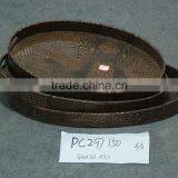 Simple Yellow Crocodile Dish