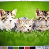 100% Polyester Material Printing Coral Fleece Blanket thumbnail-6